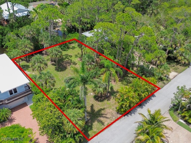1675 Avion Pl, Naples, FL 34104