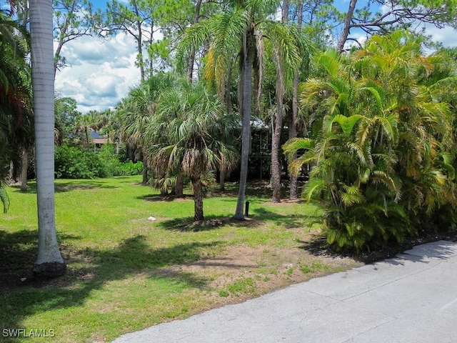 1675 Avion Pl, Naples, FL 34104