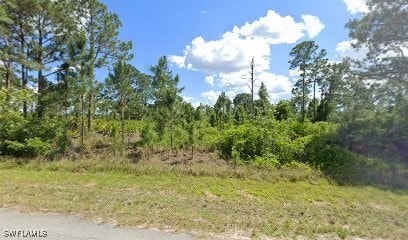 1242 Belgrave St, Fort Myers, FL 33913