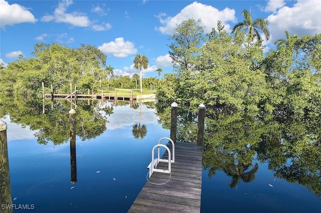 7233 Hendry Creek Dr, Fort Myers, FL 33908 - photo 49