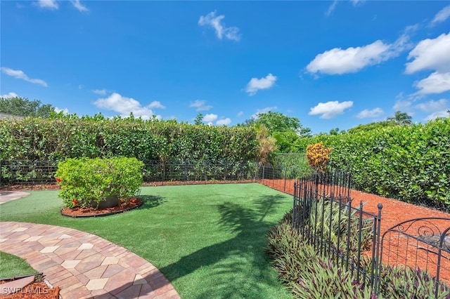973 Summerfield Dr, Naples, FL 34120 - view of yard