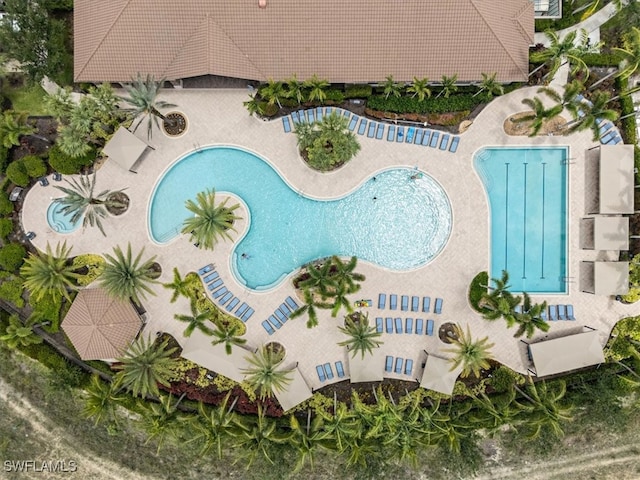 3051 Hudson Ter, Naples, FL 34119 - bird's eye view of a pool