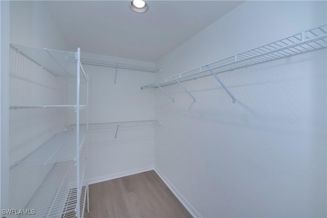8441 N Haven Ln Unit B, Fort Myers, FL 33919 - walk in closet featuring wood finished floors