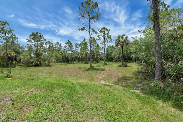 4447 26th Ave SE, Naples, FL 34117 - view of yard