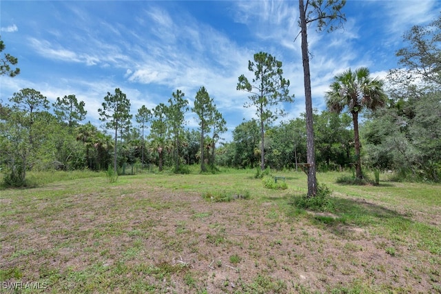 4447 26th Ave SE, Naples, FL 34117 - view of wooded area