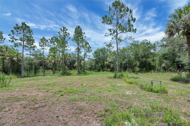 4447 26th Ave SE, Naples, FL 34117 - view of tree filled area