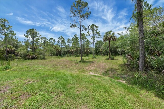 4447 26th Ave SE, Naples, FL 34117 - photo 31