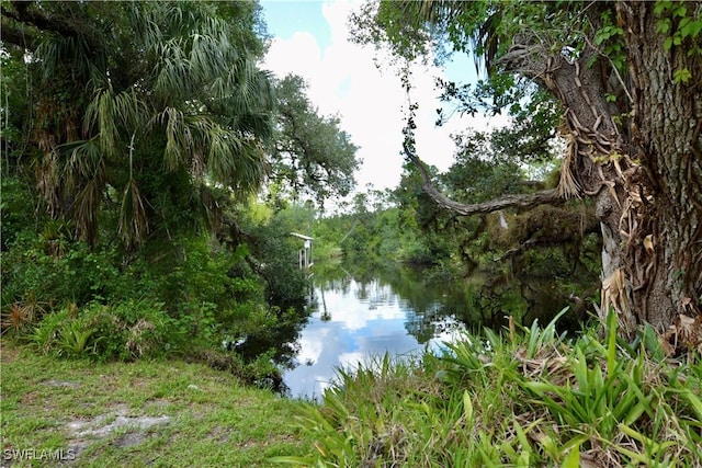 18220 Elmwood Dr, Alva, FL 33920 - photo 25