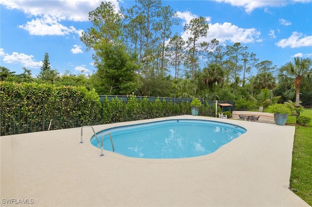 3270 14th Ave NE, Naples, FL 34120 - view of pool with a patio area