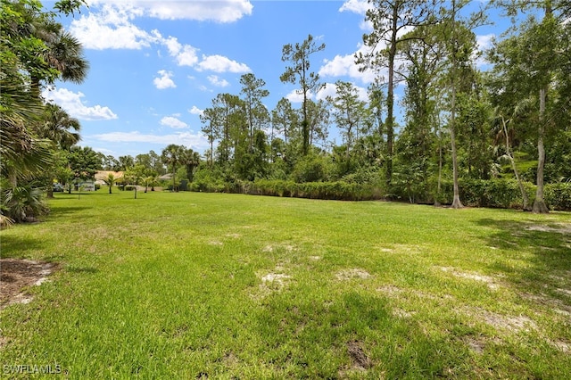 3270 14th Ave NE, Naples, FL 34120 - view of green lawn