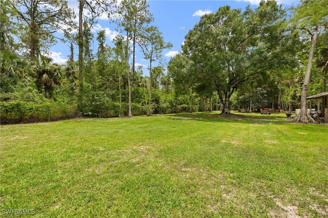 3270 14th Ave NE, Naples, FL 34120 - view of green lawn