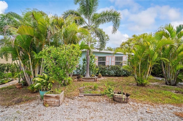 751 108th Ave N, Naples, FL 34108 - view of property hidden behind natural elements