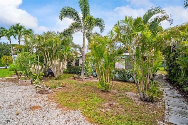 751 108th Ave N, Naples, FL 34108 - view of yard featuring a vegetable garden