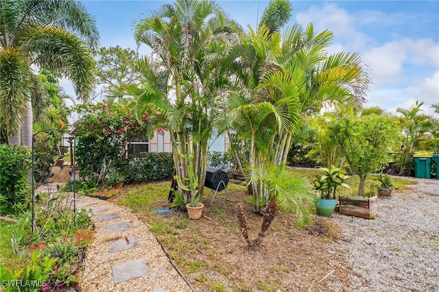 751 108th Ave N, Naples, FL 34108 - view of yard
