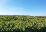 6477 Park Rd, Fort Myers, FL 33908