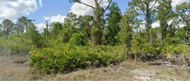 1253 Delores St E, Lehigh Acres, FL 33974