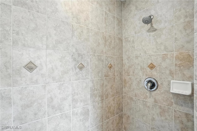 4322 NW 32nd Ter, Cape Coral, FL 33993 - bathroom with a tile shower