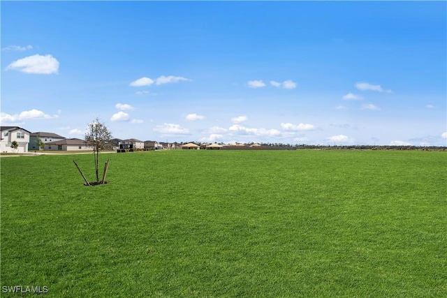 17620 Monte Isola Way N, Fort Myers, FL 33917 - view of grassy yard featuring a residential view
