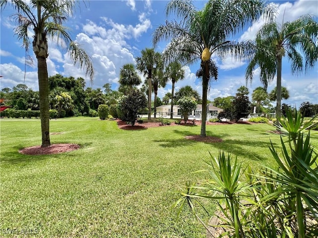 331 Joel Blvd Unit 109, Lehigh Acres, FL 33936 - view of green lawn