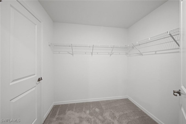 4139 Tulia Way N, Fort Myers, FL 33917 - photo 19