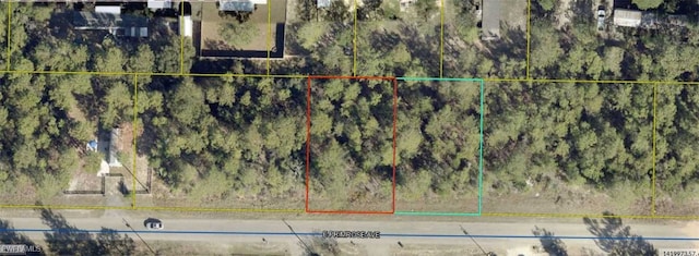 16-3N-20-28060-060-0280 E Primrose Ave Fl, Paxton-Darlington, FL 32433