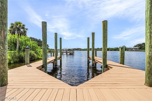 21090 Captain Nelson Ct, Alva, FL 33920 - photo 39