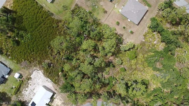 13 Lutz Rd, North Port, FL 34286