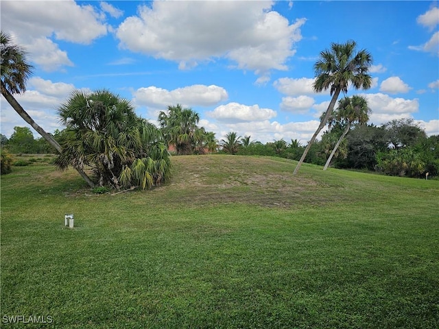 619 Charles Sise St, Lehigh Acres, FL 33974 - view of green lawn