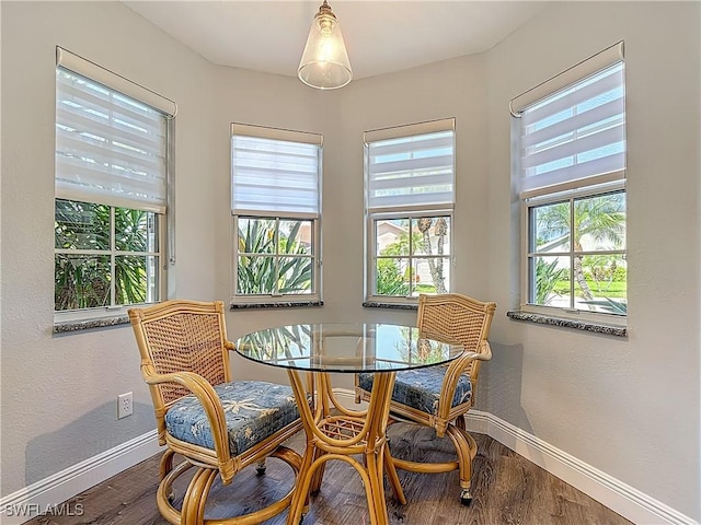 1670 Palo Duro Blvd, North Fort Myers, FL 33917 - dining room with baseboards and wood finished floors