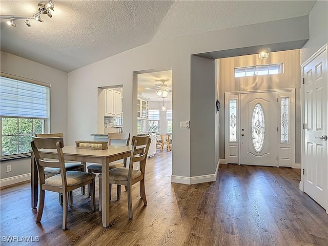 1670 Palo Duro Blvd, North Fort Myers, FL 33917 - dining space with dark wood-type flooring, a textured ceiling, vaulted ceiling, and ceiling fan