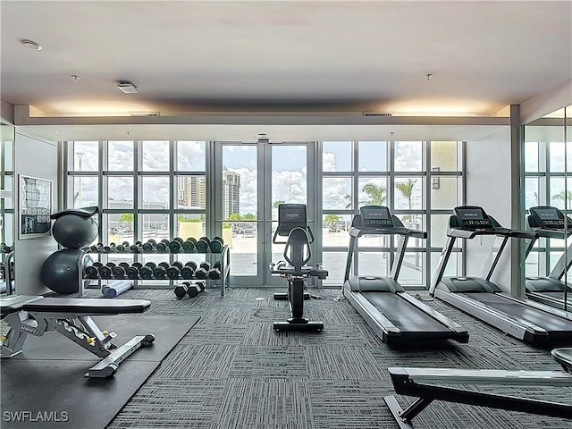 3000 Oasis Grand Blvd Unit 1203, Fort Myers, FL 33916 - exercise room with floor to ceiling windows, french doors, and dark colored carpet