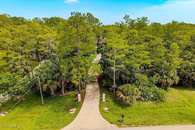 5181 Hickory Wood Dr, Naples, FL 34119 - photo 46