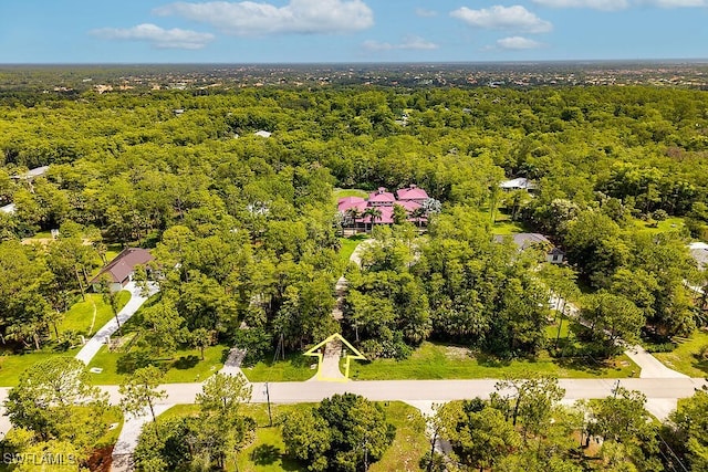 5181 Hickory Wood Dr, Naples, FL 34119 - photo 48