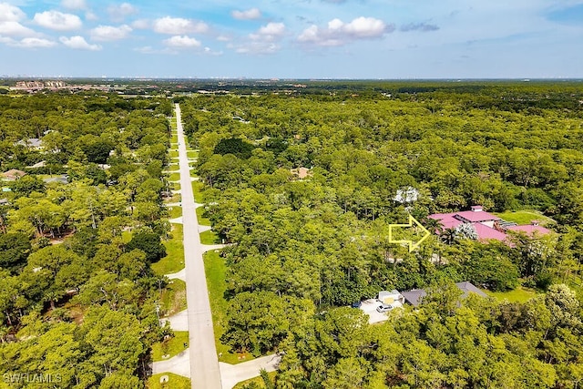 5181 Hickory Wood Dr, Naples, FL 34119 - photo 49