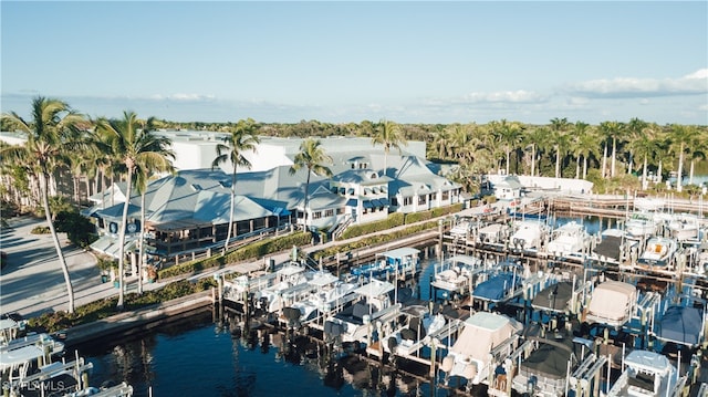 drone / aerial view of a large body of water