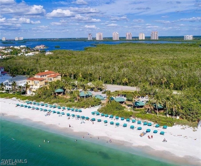 bird's eye view of expansive beach
