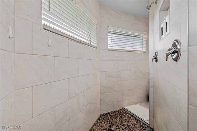 2502 SW 17th Ave, Cape Coral, FL 33914 - full bathroom featuring a tile shower