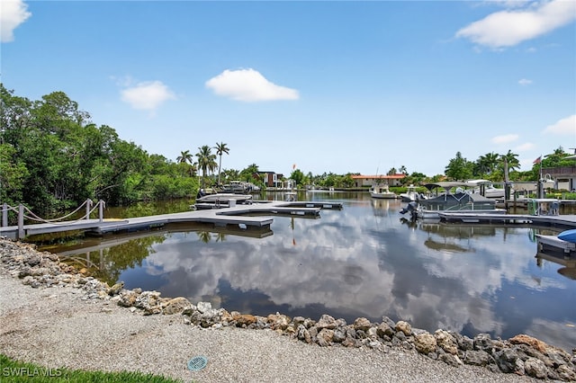 1666 Osprey Ave Unit 106, Naples, FL 34102 - dock with a water view