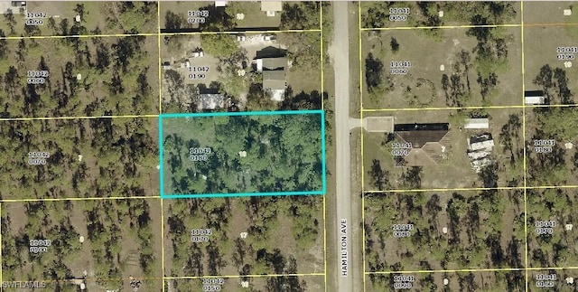 2311 Hamilton Ave, Alva, FL 33920