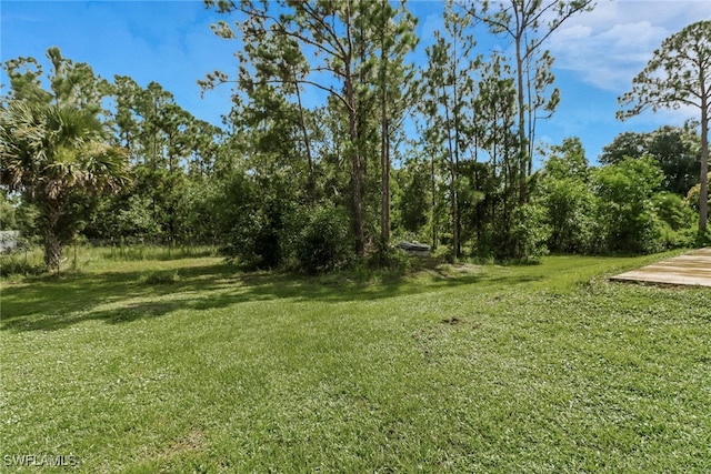 2501 54th Ave NE, Naples, FL 34120 - photo 25