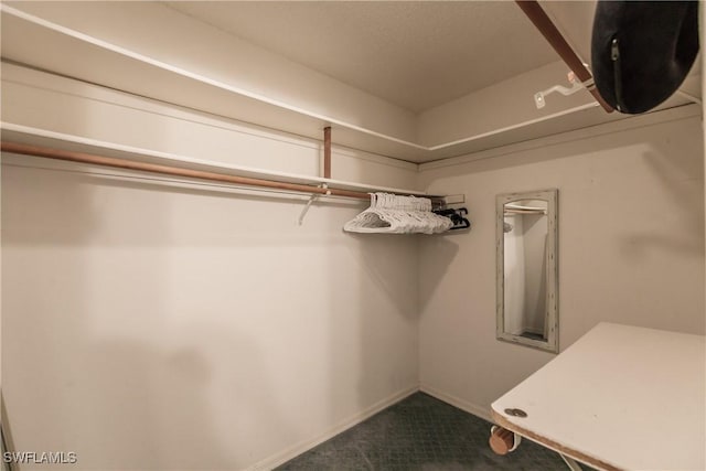 13611 Marquette Blvd, Fort Myers, FL 33905 - spacious closet featuring dark carpet