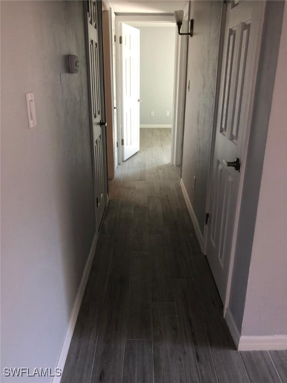 2929 Winkler Ave Unit 1008, Fort Myers, FL 33916 - hall featuring dark wood-style flooring and baseboards