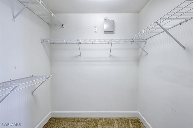 3082 Windsong Ct Unit 303, Naples, FL 34109 - walk in closet featuring carpet flooring