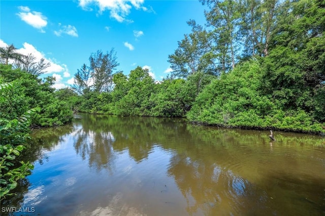 3980 Full Moon Ct, Naples, FL 34112 - water view featuring a forest