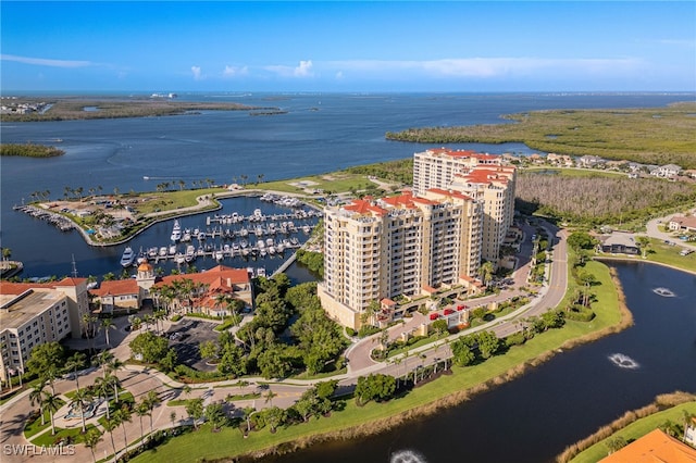 6081 Silver King Blvd Unit 701, Cape Coral, FL 33914 - photo 1