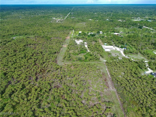 2521 Woodland Grade Rd, Naples, FL 34117 - photo 2