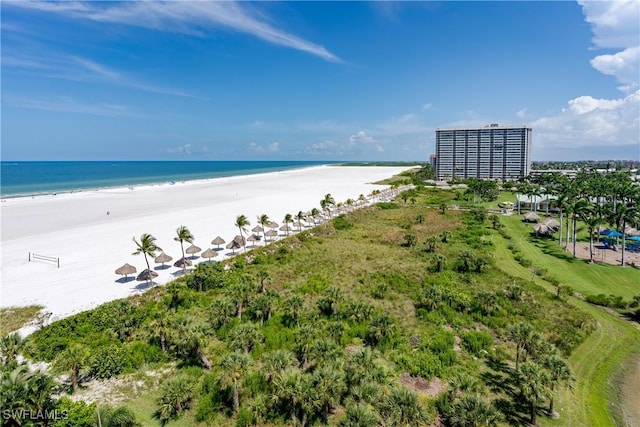 174 S Collier Blvd Unit 904, Marco Island, FL 34145 - water view with local beach