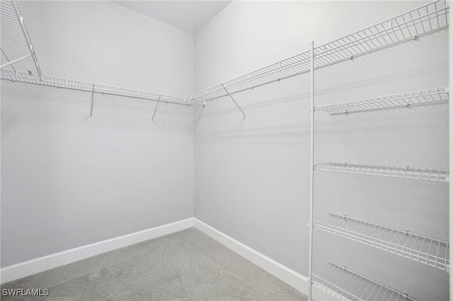 17215 Hadlow Pl, Fort Myers, FL 33967 - spacious closet featuring carpet flooring