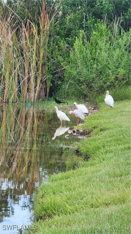 1818 NE 1st Place, Cape Coral, FL 33909