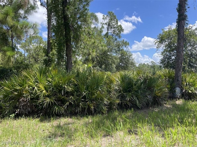 200 W 17th St, Lehigh Acres, FL 33972 - view of local wilderness